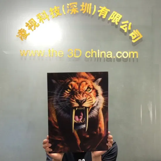 Fancy 3D Effect Custom Logo Lenticular Printing Posters for Advertising